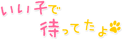 いい子で待ってたよ