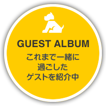 GUEST ALBUM これまで一緒に過ごしたゲストを紹介中