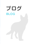 スタッフブログ