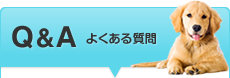 Q&A パパに50の質問
